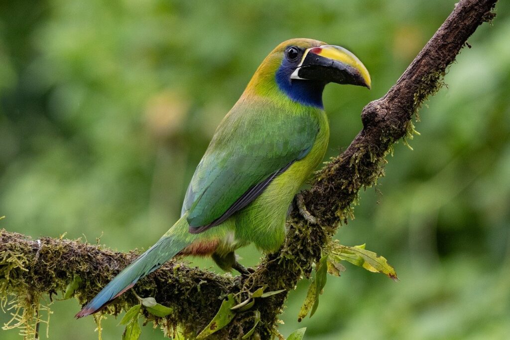 AGAの進行が止まったら治療をやめてもいいのか？