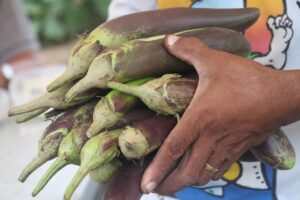 AGAの遺伝子検査は本当に意味あるのか徹底解説しますか？