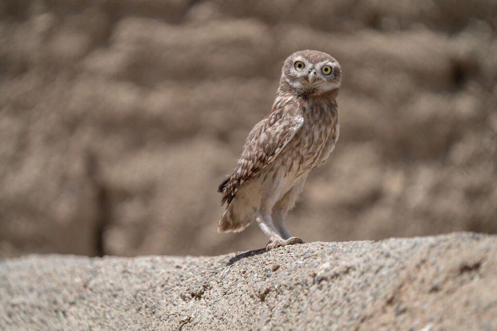 AGA治療法にはどんな種類があるか徹底解説しますか？