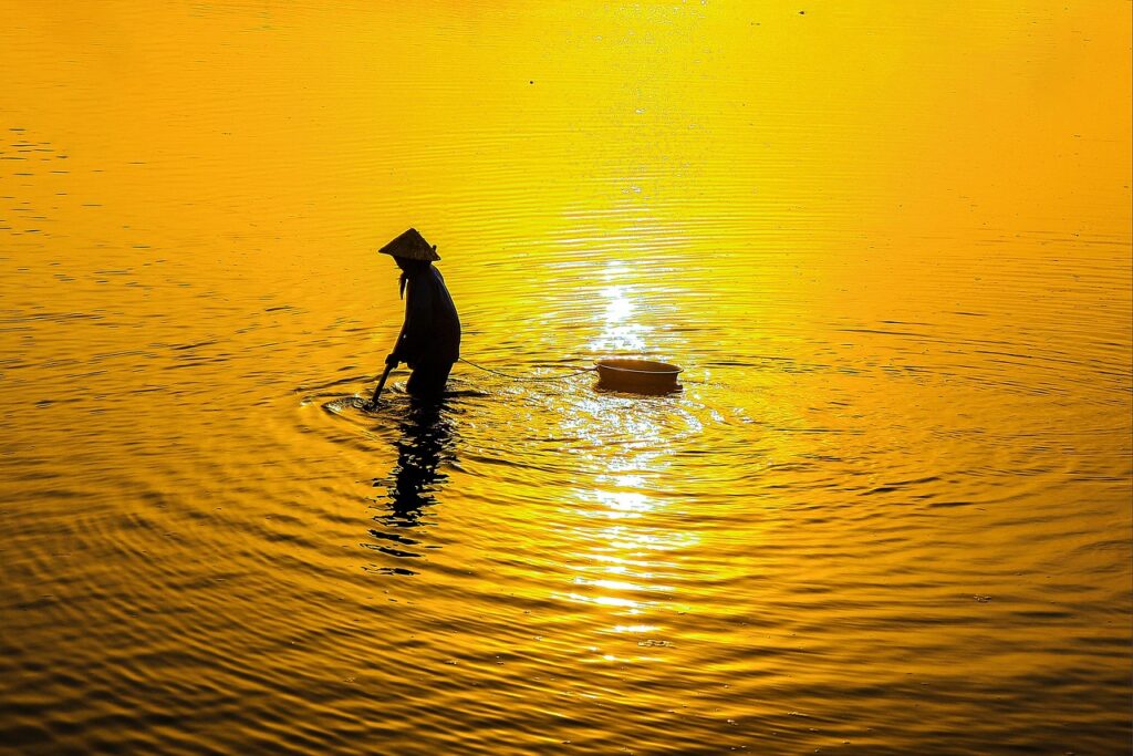 育毛シャンプーで薄毛は本当に治るのか徹底解説しますか？