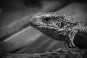 AGAを放置するとどうなる？