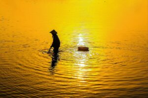 プロペシアの費用はいくら？