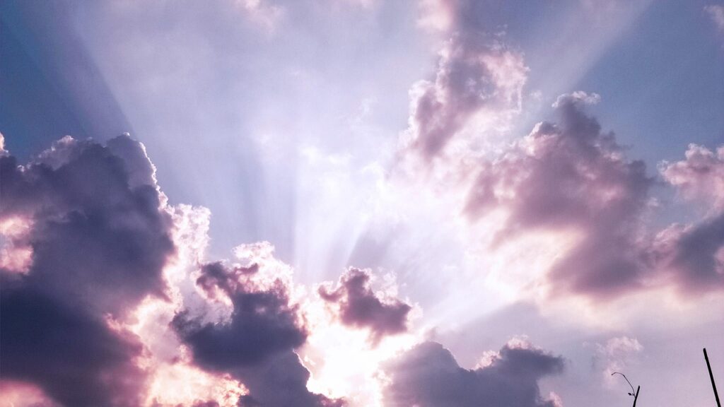 ミノキシジルの効果はいつから実感できるのか？