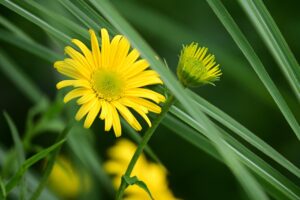 京都で薄毛の悩みを相談できる専門機関は？