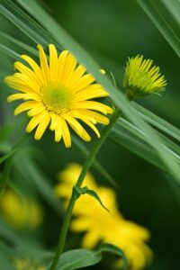 京都で薄毛の悩みを解決するための相談先は？