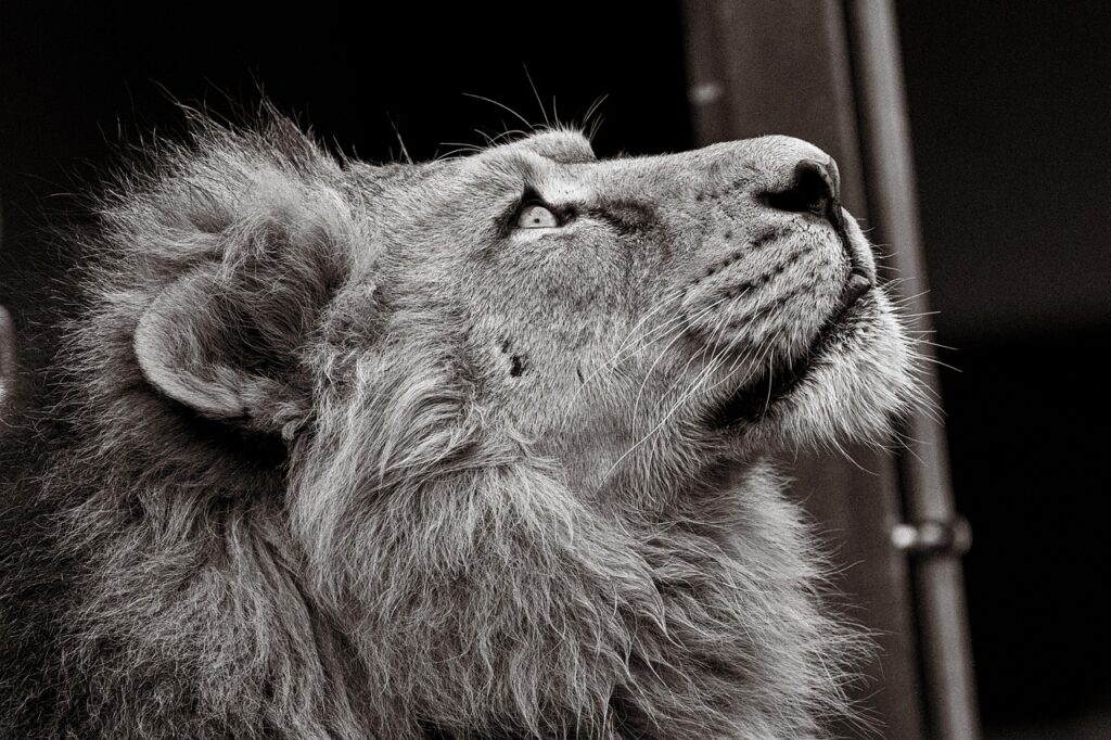 hargの体験者が語るリアルな体験談とは？