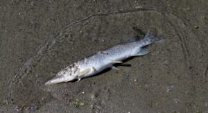 京都市下京区でおすすめのAGAクリニックは？