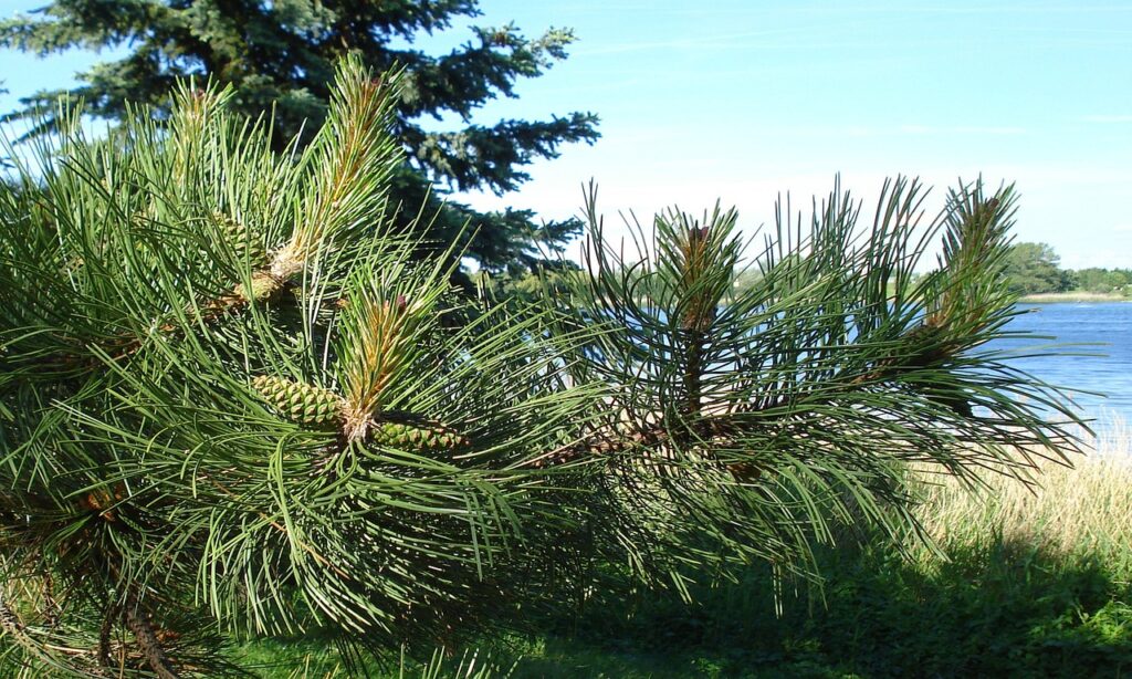 AGAクリニックの効果に関する実際の体験談とは？