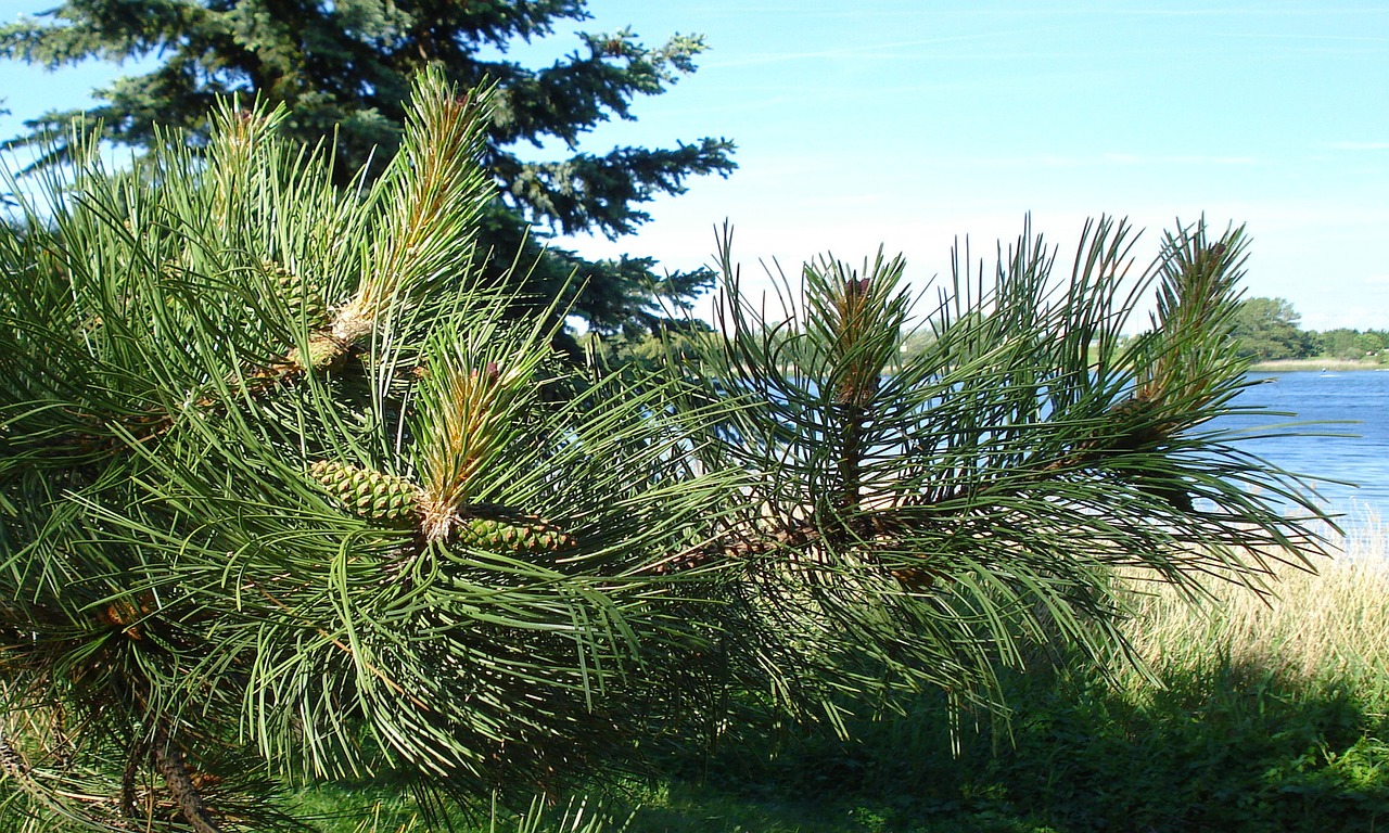 AGAクリニック初診に必要な持ち物は何ですか？