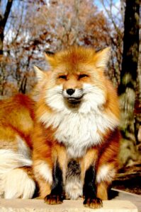 AGA治療のために病院の何科に行くべきか？