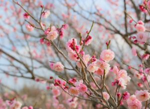 AGA治療の料金と注意点を知っておくべき理由は？