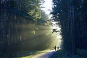 AGA治療の効果を最大化する方法はこれだ！？